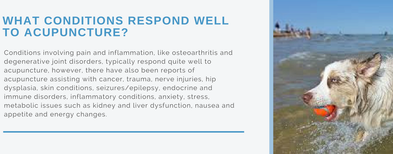 Conditions that respond well to acupuncture