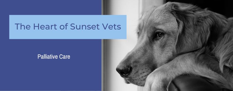 The Heart of Sunset Vets Palliative Care