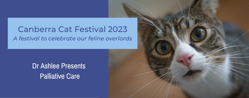 Canberra Cat Festival 2023