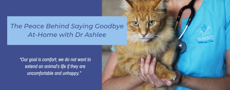 The Peace Behind Saying Goodbye At-Home with Dr Ashlee