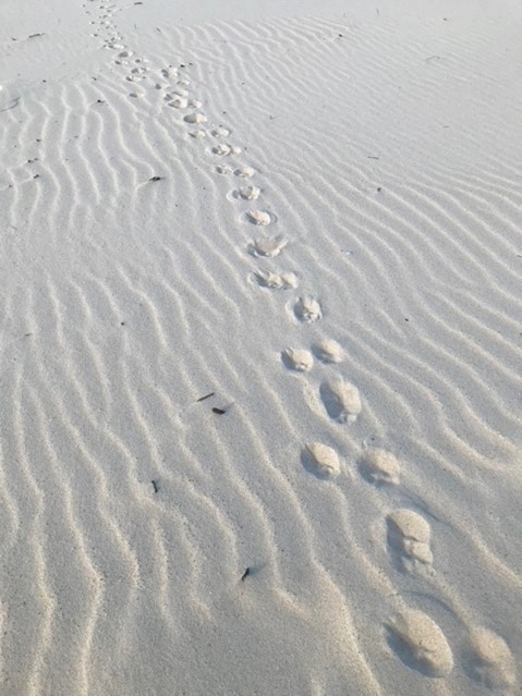 Beach footsteps
