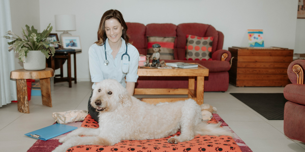 Melbourne Pet Palliative Care