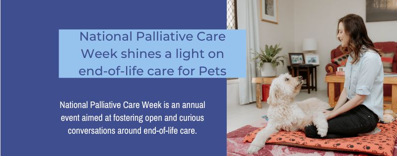 Sunset Vets_National Palliative Care Week (1)