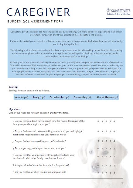 Caregiver Burden QOL Assessment Form