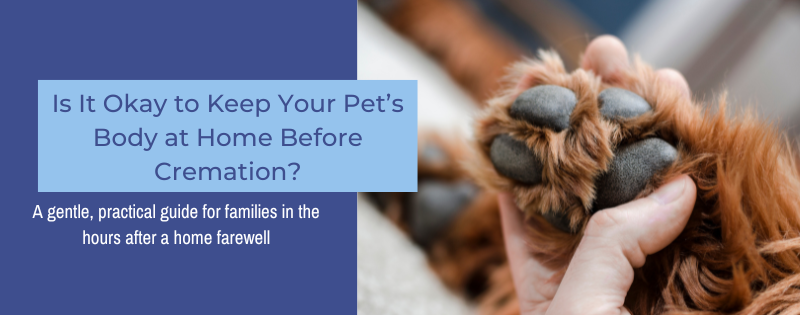 Sunset Vets_Body at Home Before Cremation