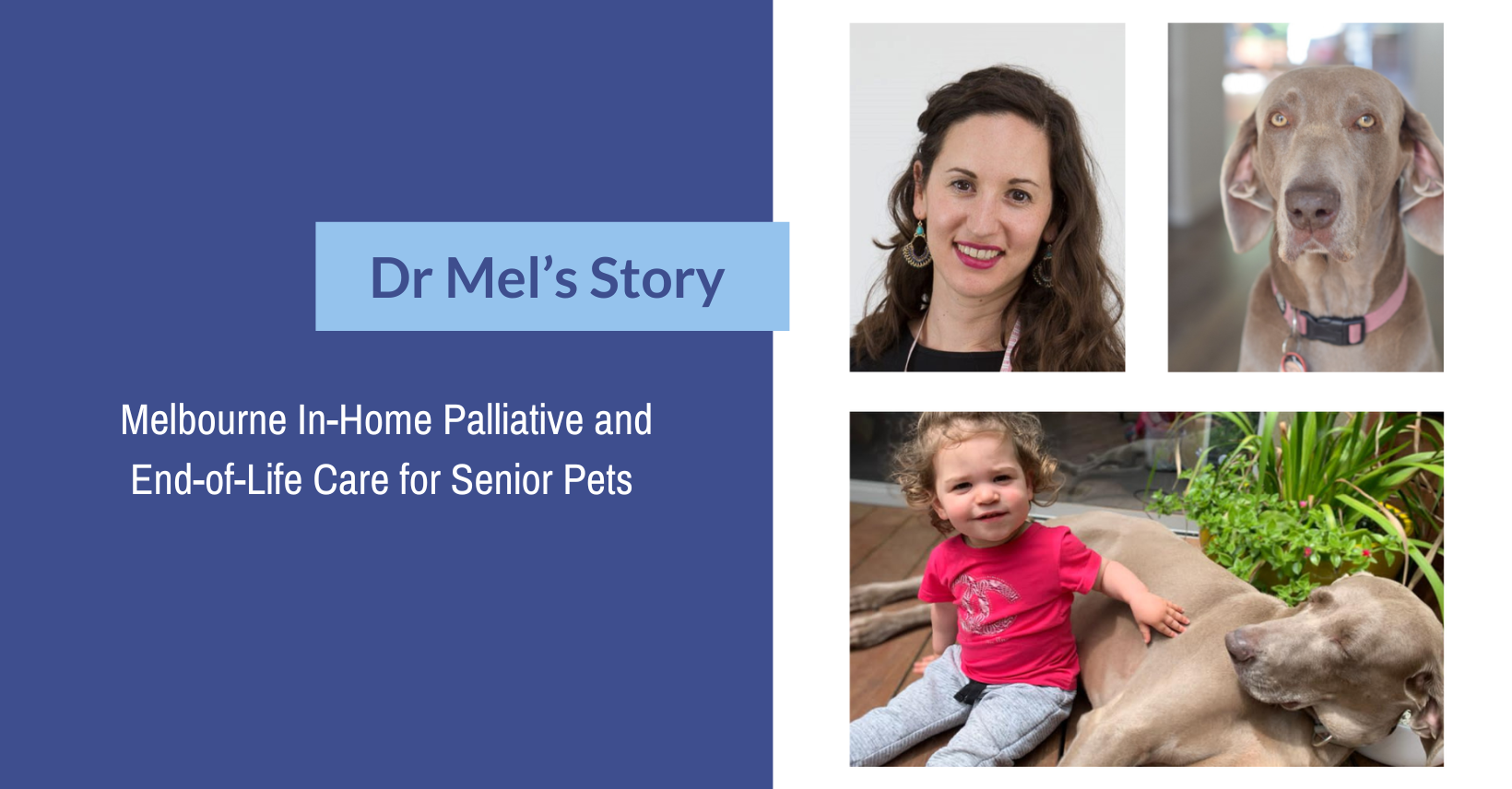 Sunset Vets Melbourne Dr Mel Palliative Care Vet