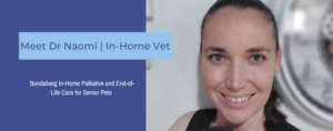 Dr Naomi Bundaberg In Home Vet
