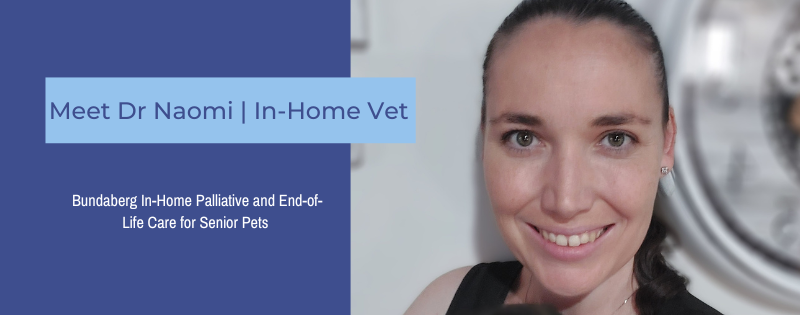 Dr Naomi Bundaberg In Home Vet