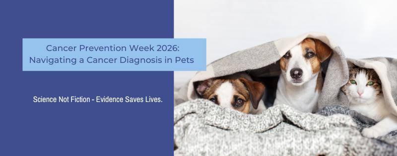 A dog with a cancer diagnosis under palliative care