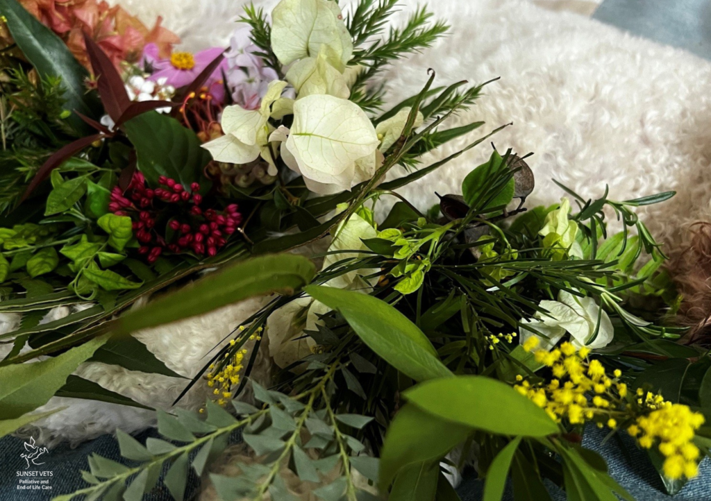 Barnaby with Flowers