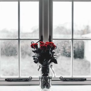 111-flowers-in-front-of-window